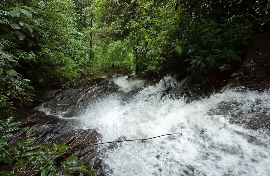 Marg Stream Valley