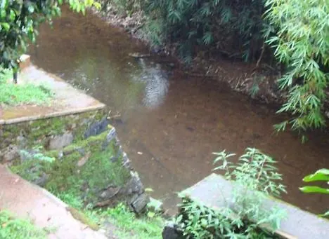 Marg Stream Valley Vythiri